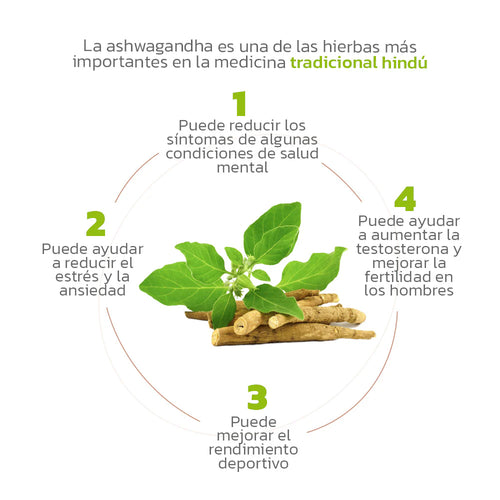 Ashwagandha. Libérate del Estrés, la ansiedad, e insomnio.😔